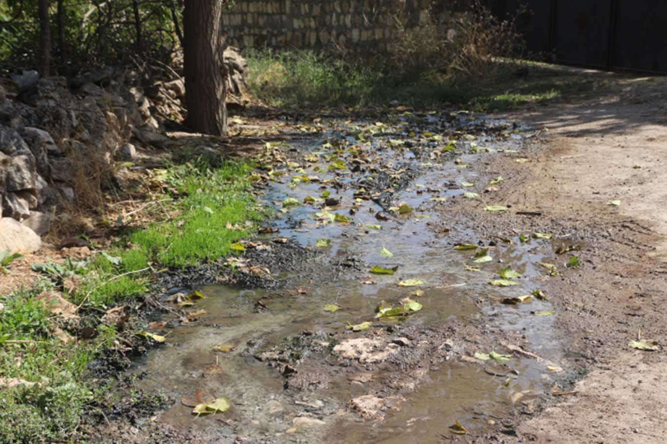 Mahalle sakinleri foseptik çukuru sorununun çözüme kavuşmasını istiyor Mahalle sakinleri foseptik çukuru sorununun çözüme kavuşmasını istiyor